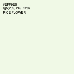 #EFF9E5 - Rice Flower Color Image